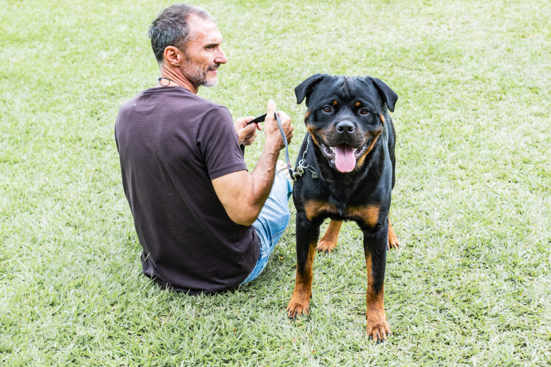 Rottweiler Von Beretta