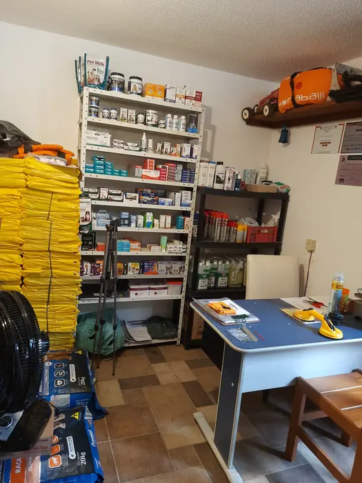 Estrutura do Canil Von Beretta &mdash; foto 5 de 57