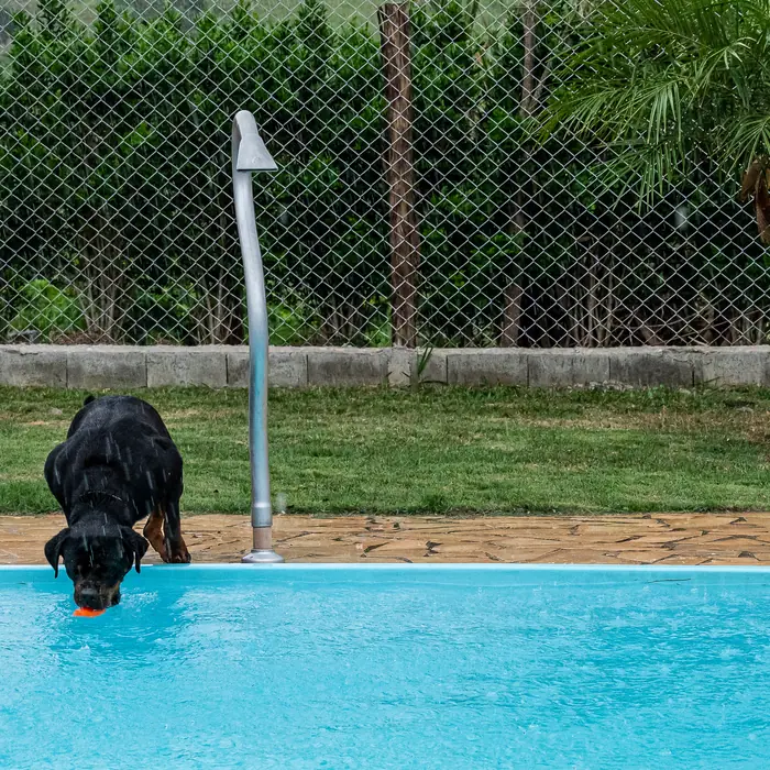 Estrutura do Canil Von Beretta &mdash; foto 11 de 57