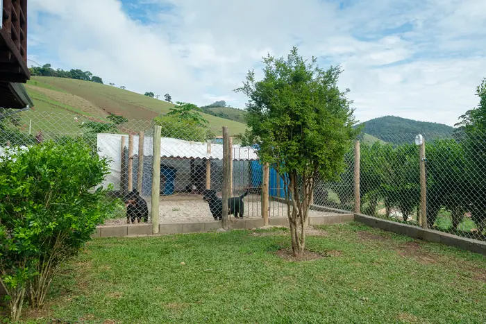 Estrutura do Canil Von Beretta &mdash; foto 41 de 57