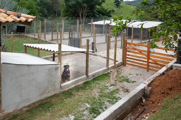 Estrutura do Canil Von Beretta &mdash; foto 46 de 57