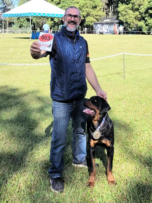 Rottweiler do Canil Von Beretta em exposição &mdash; foto 10 de 34