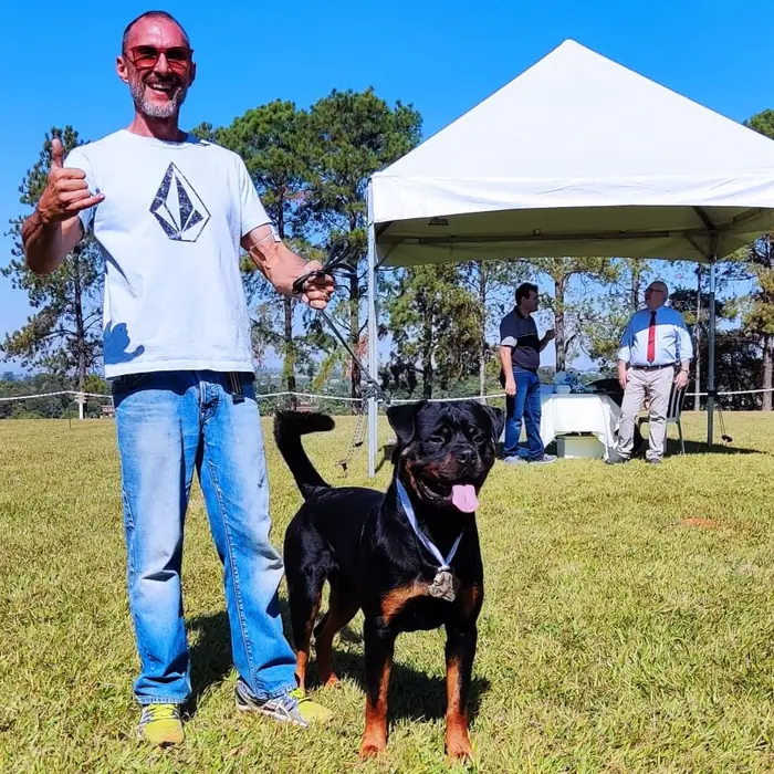 Rottweiler do Canil Von Beretta em exposição &mdash; foto 19 de 34