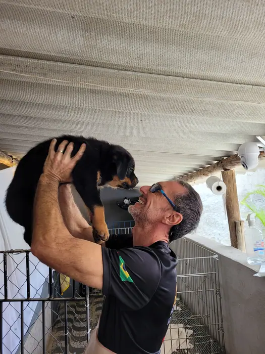 Filhote de Rottweiler do Canil Von Beretta &mdash; foto 21 de 88