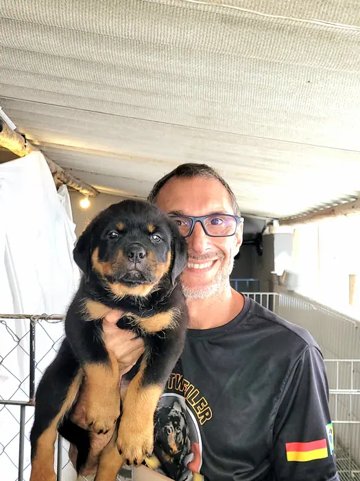 Filhote de Rottweiler do Canil Von Beretta &mdash; foto 23 de 88