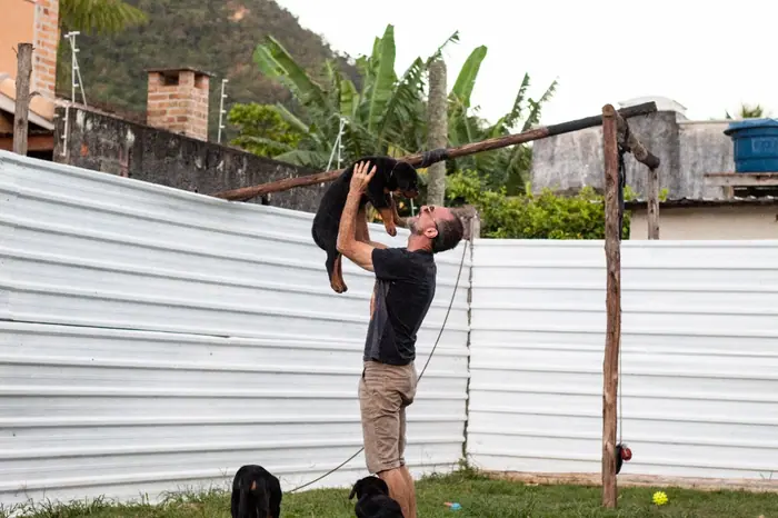 Filhote de Rottweiler do Canil Von Beretta &mdash; foto 64 de 88