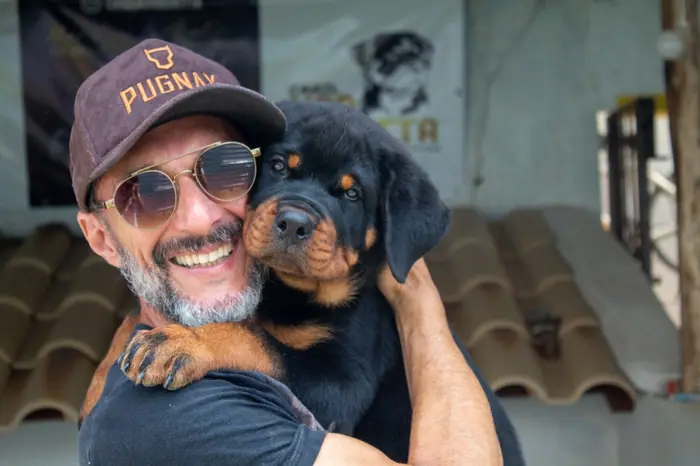 Filhote de Rottweiler do Canil Von Beretta &mdash; foto 67 de 88