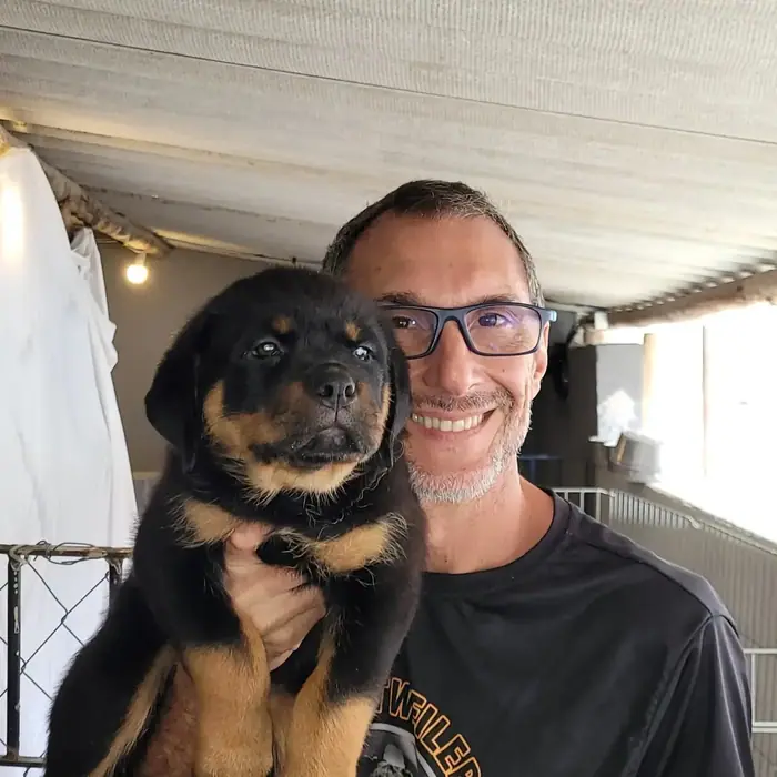 Filhote de Rottweiler do Canil Von Beretta &mdash; foto 88 de 88