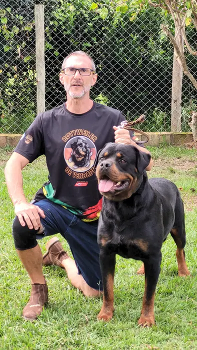 Reprodutor Rottweiler do Canil Von Beretta &mdash; foto 9 de 41