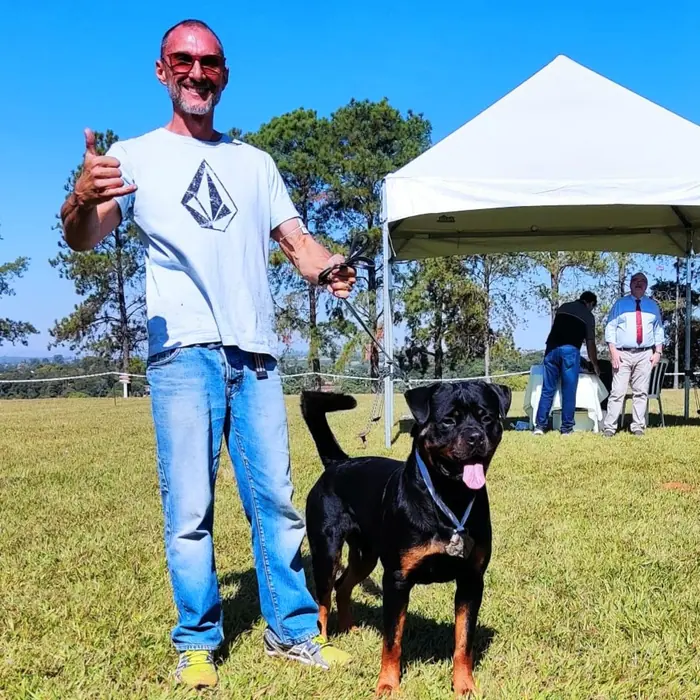 Reprodutor Rottweiler do Canil Von Beretta &mdash; foto 28 de 41