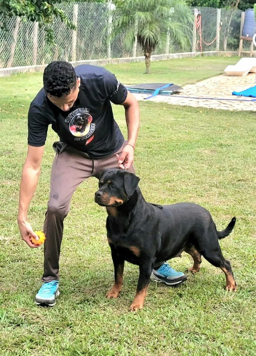 Karima Sheik by A&E Star House, matriz Rottweiler do Canil Von Beretta