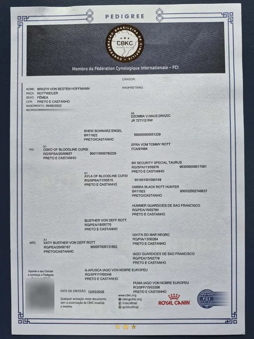 Pedigree CBKC/FCI de Rottweiler do Canil Von Beretta &mdash; documento 3 de 28