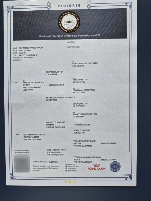 Pedigree CBKC/FCI de Rottweiler do Canil Von Beretta &mdash; documento 4 de 28