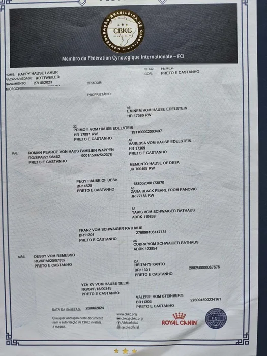 Pedigree CBKC/FCI de Rottweiler do Canil Von Beretta &mdash; documento 5 de 28