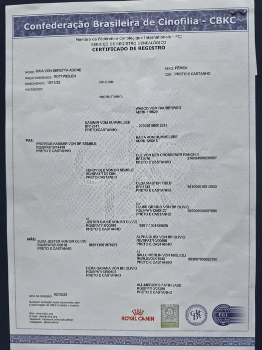 Pedigree CBKC/FCI de Rottweiler do Canil Von Beretta &mdash; documento 7 de 28
