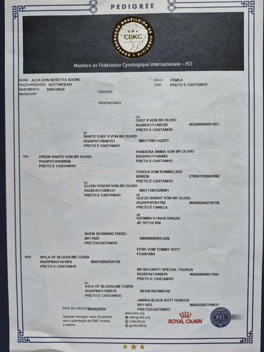 Pedigree CBKC/FCI de Rottweiler do Canil Von Beretta &mdash; documento 9 de 28