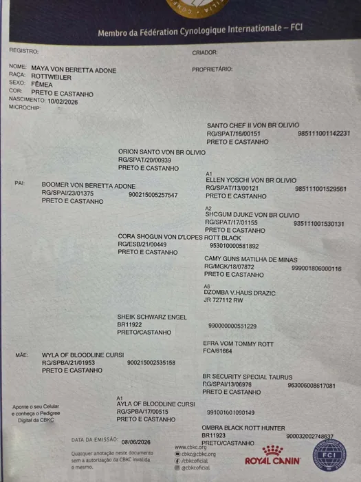 Pedigree CBKC/FCI de Rottweiler do Canil Von Beretta &mdash; documento 11 de 28
