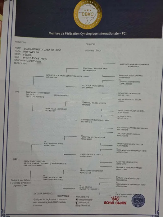 Pedigree CBKC/FCI de Rottweiler do Canil Von Beretta &mdash; documento 12 de 28