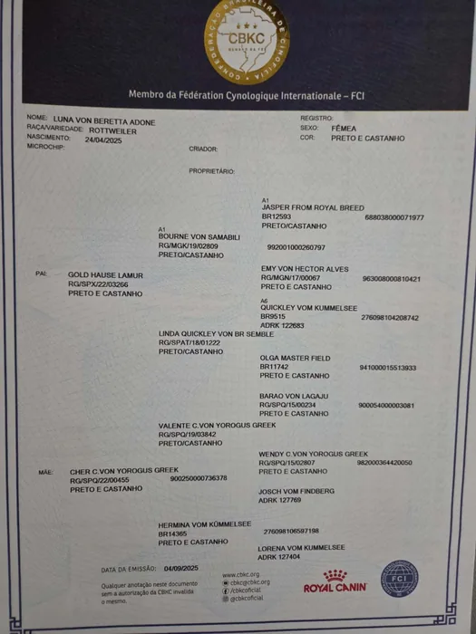 Pedigree CBKC/FCI de Rottweiler do Canil Von Beretta &mdash; documento 14 de 28