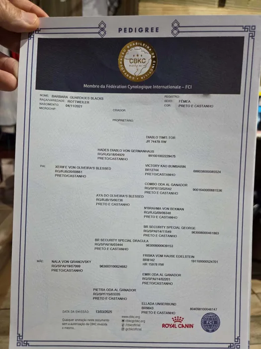 Pedigree CBKC/FCI de Rottweiler do Canil Von Beretta &mdash; documento 19 de 28