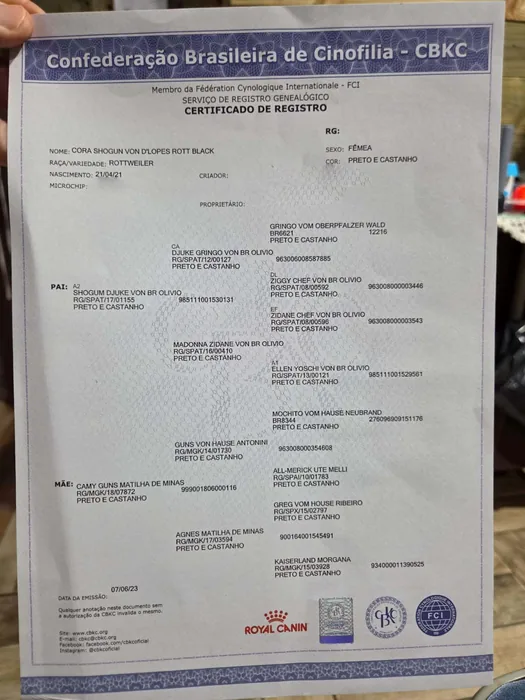 Pedigree CBKC/FCI de Rottweiler do Canil Von Beretta &mdash; documento 20 de 28