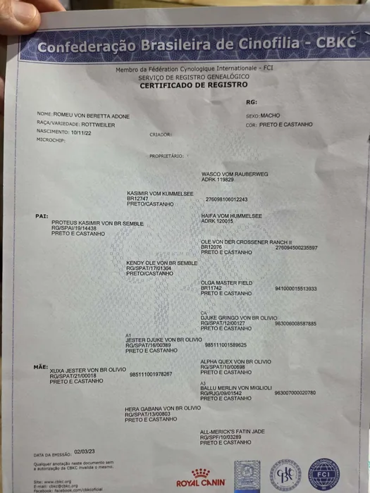Pedigree CBKC/FCI de Rottweiler do Canil Von Beretta &mdash; documento 21 de 28