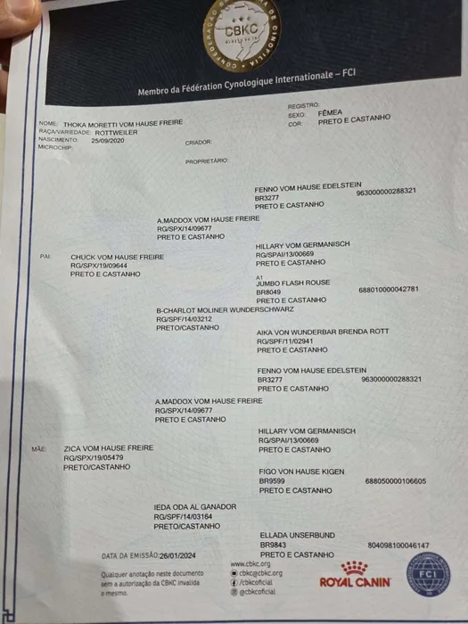 Pedigree CBKC/FCI de Rottweiler do Canil Von Beretta &mdash; documento 22 de 28