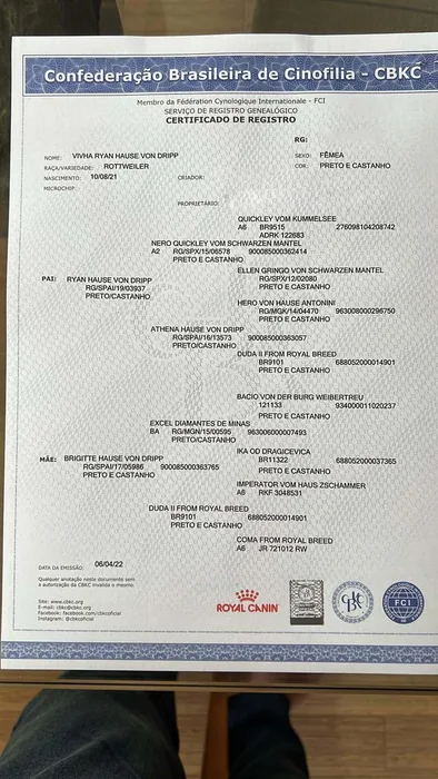 Pedigree CBKC/FCI de Rottweiler do Canil Von Beretta &mdash; documento 23 de 28