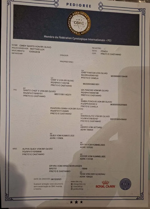 Pedigree CBKC/FCI de Rottweiler do Canil Von Beretta &mdash; documento 26 de 28
